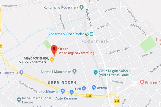 Schädlingsbekämpfung in Rödermark durch Kaiser Schädlingsbekämpfung