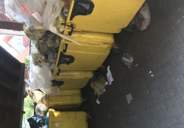 Überfüllte Mülltonnen Wanderratten